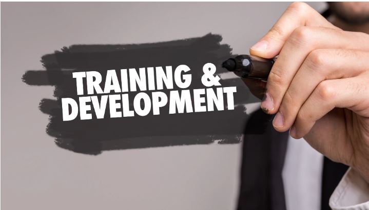 Training and Development – Meaning, Advantages & Process